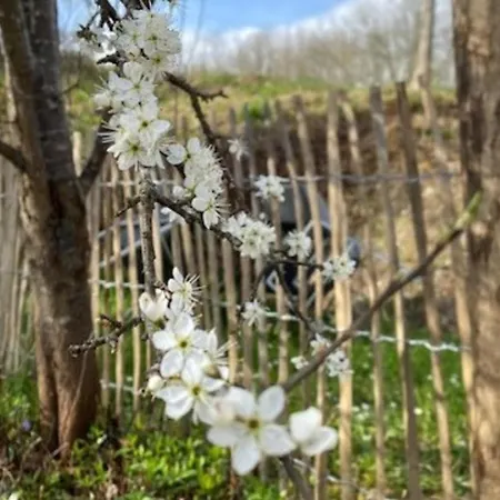La Folie Ferienhaus Saint-Maurin