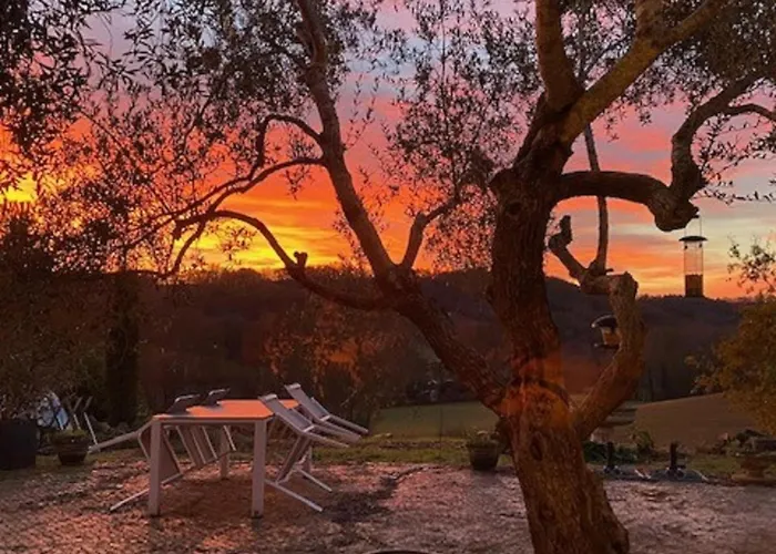 La Folie Tatil Evi *