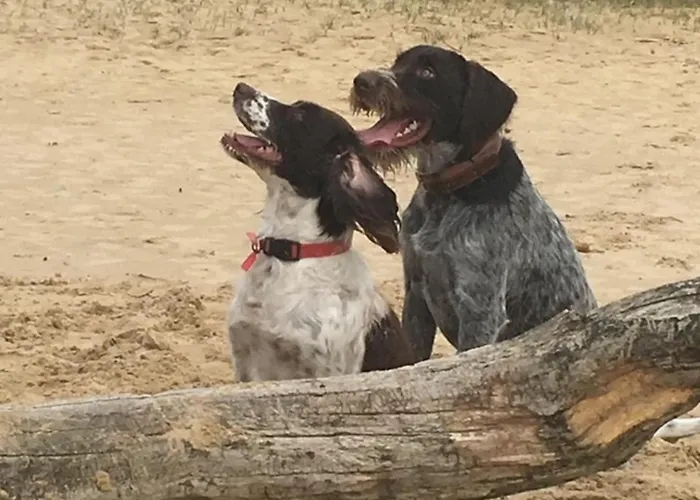 La Folie Tatil Evi *