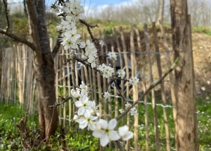 La Folie Tatil Evi Saint-Maurin